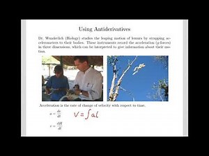 Applications of Antiderivatives