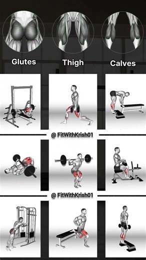 Transform Your Legs💪 | Full Leg Workout for Strength & Size🔥 #shorts #legs #legday #legworkout #gym