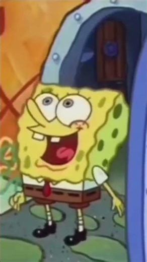 We are all a little sponge.