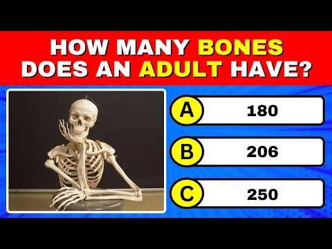 General Knowledge Quiz | 50 Questions Everyone Should Know!