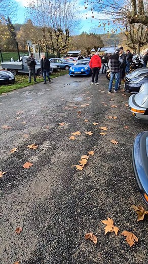30 reactions | #rasso Alpine A110 | Charles Carrére | Facebook