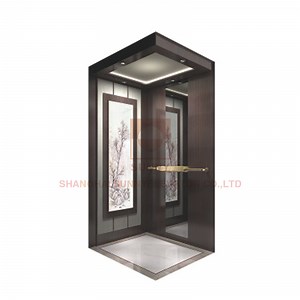 [Hot Item] Passenger Elevator with Stainless Steel Lift Cabin