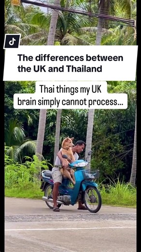 Random Thai things that make my UK brain short circuit 😃: 1. 7-Eleven serving Michelin-star worthy snacks while UK 7-Eleven barely has sandwiches. 2. Crossing the road like it's a trust exercise with the universe. 3. Tesco (Lotus supermarket) being... basically Westfield?? 4. Honking that ISN'T an act of aggression (wild concept). 5. Tiny shrines inside shopping malls like it's totally normal. 6. Whole families pets riding one motorbike like a well-rehearsed circus act. 7. Stepping outside: sau