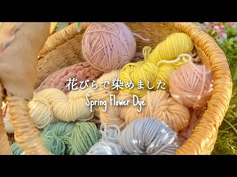 SOLAR DYE WITH SPRING FLOWERS🌸☀️TRY THIS EASY NATURAL DYE METHOD!!!
