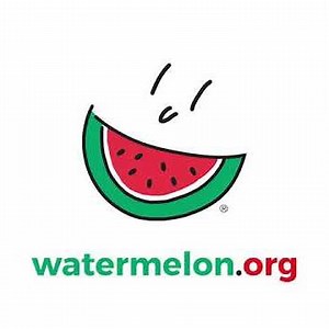 How to Make Watermelon Juice