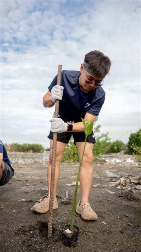 Cocogen proudly partnered with World Vision Philippines and DENR for a mangrove planting project last November 20, 2025 in Baseco, Manila. This is part of Cocogen's broader sustainability goals, ensuring every tree planted today contributes to a healthier planet tomorrow. #WeGotYou🌴 | Cocogen Insurance