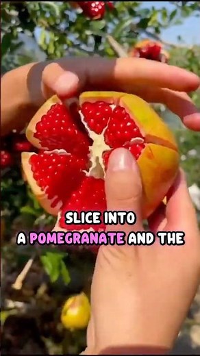Fruits that Explode when Opened! 💥 #fruits #pomegranate #didyouknow #shorts
