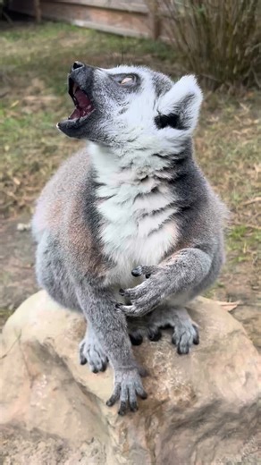 7.8K views · 182 reactions | Looking for a more intimate, immersive...