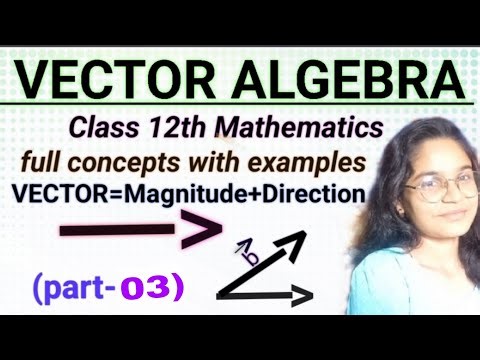 "Vector Algebra Class 12 | Full Chapter Explanation with all concepts| Maths " PART -03