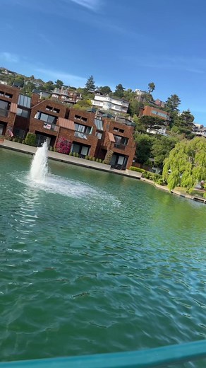 Tiburon was stunning 🙌🦈 #tiburon #sanfrancisco #bayarea #california #marincounty