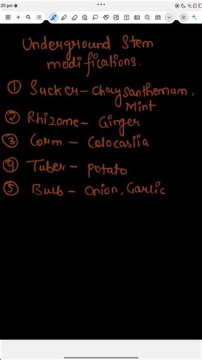 Underground stem modifications 🌾🌿 Morphology of plants #biology #neet #ncert #science #12thbiology