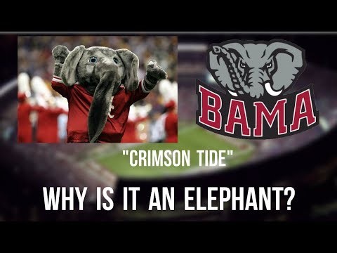 Why Is Alabama's Mascot An Elephant When They Are The Crimson Tide | SEC WEEK EP. 2