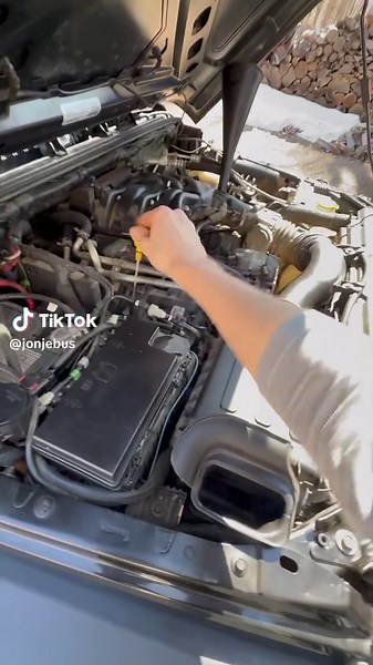 I was working on the Jeep when I heard some strange noises coming from the house. As it turns out a European Starling had broken in and was rummaging around. At first I thought it was going to be a huge task to get this wild bird out of the house. But, this little guy was surprisingly pretty relaxed and after he spent some time exploring the house, he left through an open window. See ya around little buddy!