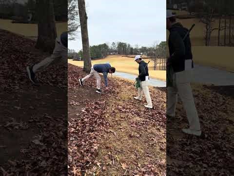 Encountering an Adaptive Environment on course lesson AP