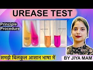 Urease Test in Hindi | Principle | Procedure | Microbiology | Biochemical Test | Medical
