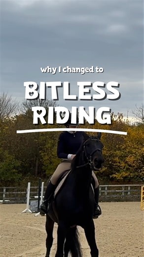 changing my mare to a bitless bridle was the best decision I ever made! 🐴
