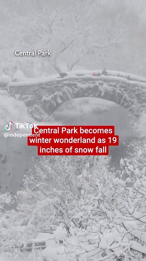 Central Park became a winter wonderland after 19 inches of snow fall. The blizzard disrupted travel plans for thousands, and canceled school for many — including students in New York City, which saw 19.7 inches in Central Park by 1 p.m. ET Monday (February 23).
