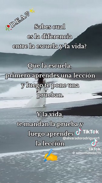 Ester Alvarado 133🌸🦋 (@alvaradorodriguez1)’s videos with sonido original - Ester Alvarado 133🌸🦋