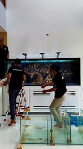 365K views · 7.3K reactions | Setup hồ nuôi cá đơn giản dễ chăm sóc với hệ thống lọc lớn. #hoca #aquarium #ylangaqyarium #hocacanh #cacanh #aquascape | Ylang Aquarium • Cửa hàng thủy sinh lớn nhất Đà Nẵng | Facebook