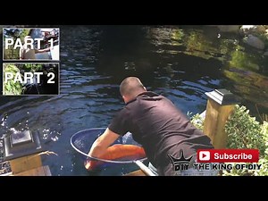Building a DIY pond