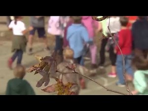 What virtual physical education classes look like in metro Detroit schools