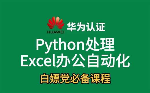 2025最新版【Python处理Excel实现办公自动化实战小案例】全套课程，快速学习Python自动化办公，入门到精通有这套足够！（从此拒绝无效加班）
