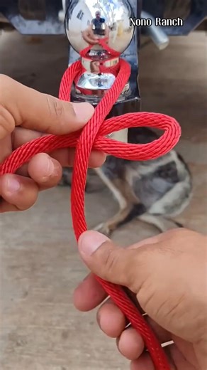 Learn and use this simple and strong lashing 😉💯 #knot #lashings