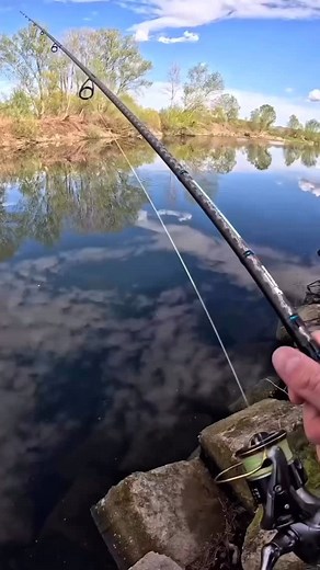 698 reactions · 7 comments | The biggest zander I’ve ever caught  -...