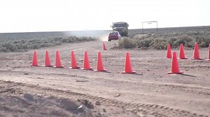 295 reactions · 56 shares | If you've ever wanted to experience the...