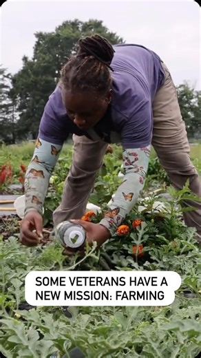 1K views · 936 reactions | Army veteran Ephesia Sutton had always...