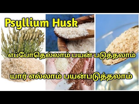 Psyllium Husk In Tamil | Benefits Of Psyllium Husk |How To Use Psyllium In Tamil | Isabgol Benefits