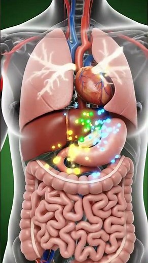 How Banana Nourishes Women’s Body, 3D Medical Animation #Shorts