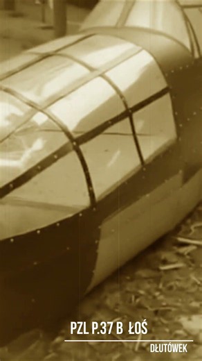 PZL P 37 B Łoś z dłutowskiego lasu #wrzesień1939 #polskiwrzesień #drugawojna #PZLP37B #łoś #ww2