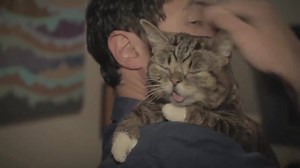 How to Come Home to BUB #bestofbub | Lil Bub