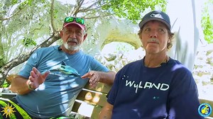 7.3K views · 129 reactions | Wyland collaborated with several of the...