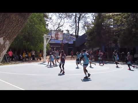 Gorilas terk fem vs Hermosillo Open Celaya 2