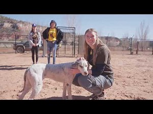 Take an Alternative Break with SLCE