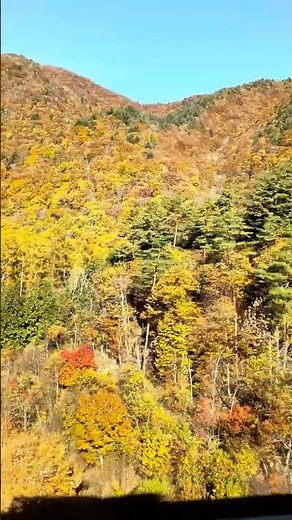 Japan’s Most Beautiful Villages: Shirakawa-go & Takayama Guide