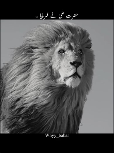 MOLA_ALI: Poetic Expressions of Love and Struggles