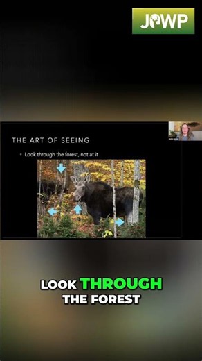 Unlock Wildlife Secrets Become a Nature Detective