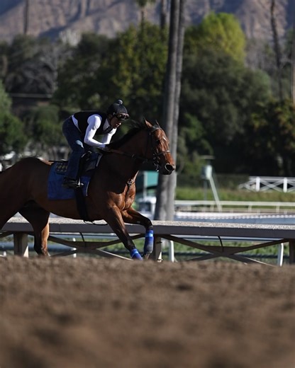 1.5K views · 30 reactions | A now two-time winner, New King seeks to capture the Santa Anita Handicap in his stakes debut. Hall of Fame Jockey, Mike Smith takes the call in the hopes of adding another GI win to his record tally   | Santa Anita Park | Facebook