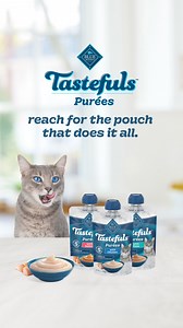 So many delicious ways to make your cat's day. | Blue Buffalo