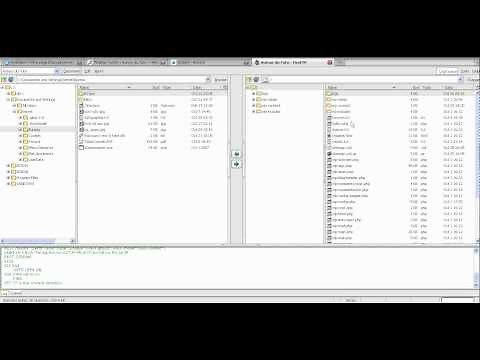 Tutoriel "Comment afficher les fichiers cachés d'un FTP (FireFTP et Filezilla)"