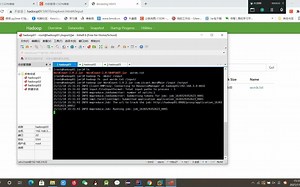 Hadoop实战——对单词文本进行统计和排序