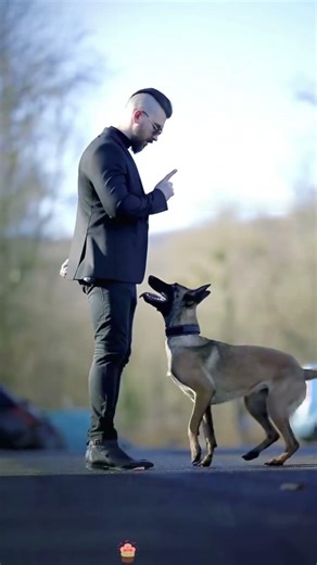 How K9 Dogs Make Split-Second Decisions