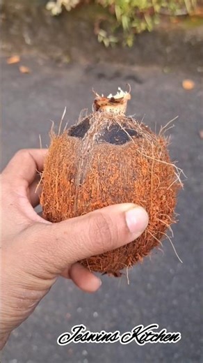coconut sprout rich in omega-3 and omega-6 fatty acids 👌👌 #benefits #shortvideo #shortsfeed