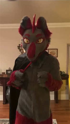 Did someone send you this video? #fursuitfriday