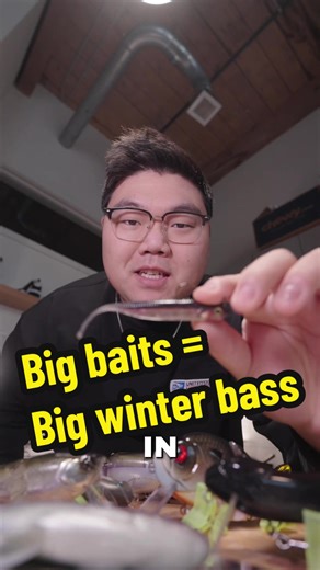 Winter Bass Fishing Techniques with Big Baits