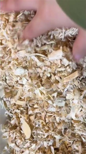 This is how I clean my herds litter box. I do this every 3 days. Enjoy!