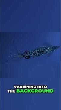 Counter-Illumination The Most Genius Camouflage #science #shorts